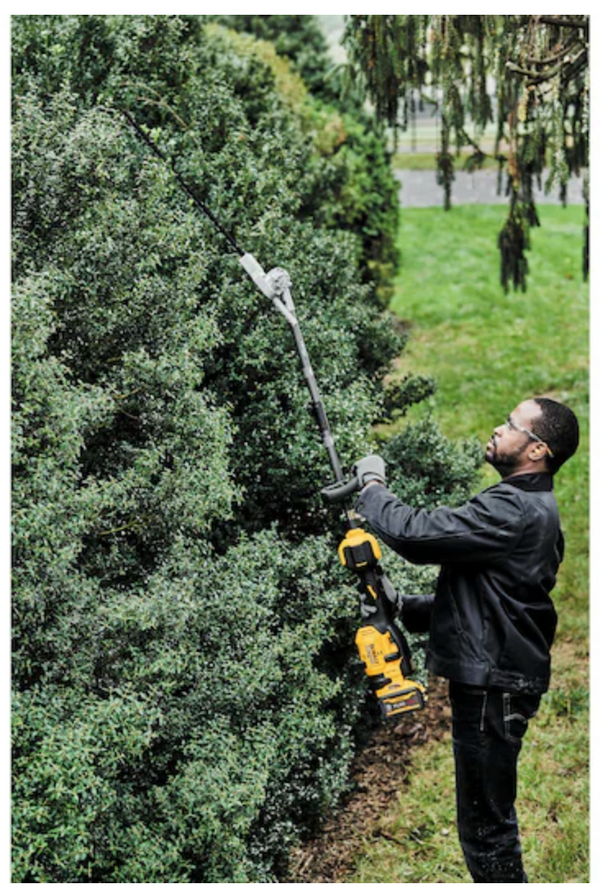 Dewalt hedge trimmer head hotsell